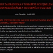 Tom� Schejbal - INSANE FLY